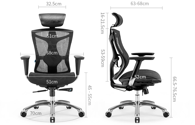 New Arrival Modern Style Lift Swivel Ergonomic Sihoo V1 Computer High Back Comfortable Mesh Executive Office Chair