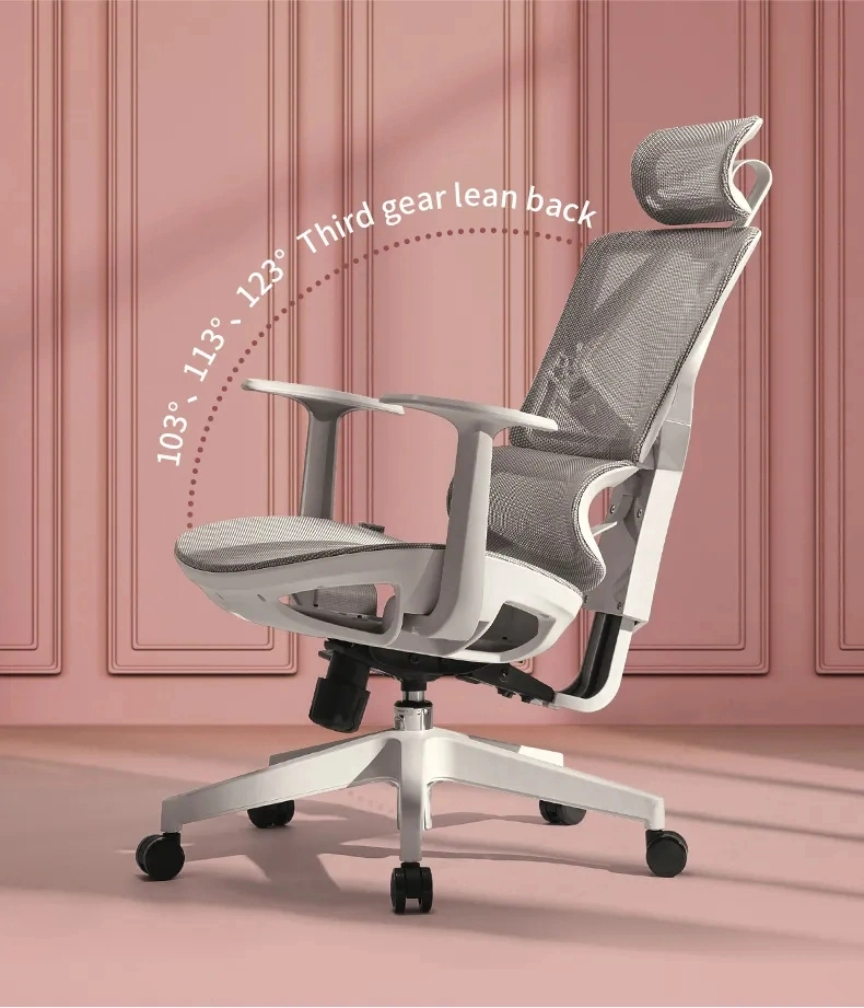 Office Reception Chair Wheels Swivel Comfortable Mesh Cheap Computer Executive Teacher Zane Office Chairs for Adult