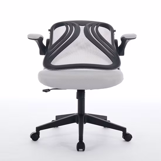 Office Chair Ergonomic Lumbar Support and Flip
